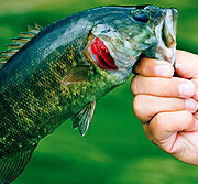 云办公平台的24小时轰炸对方的电话